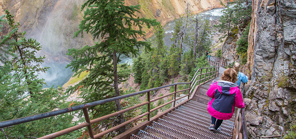 Person walking down steep stairs into a canyon. Person walking down steep stairs into a canyon.