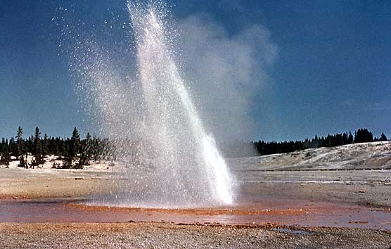 Little Whirligig Geyser shoots water and steam into the air at an angle.
