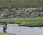 A man casts his fishing rod into a river. A man casts his fishing rod into a river.