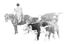 cowboy