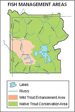 Map of fish management areas in Yellowstone.