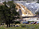 Mammoth Hot Springs Terrace Cam
