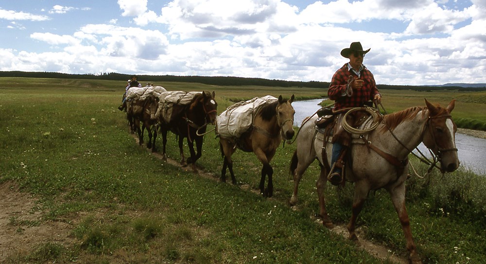 A person riding a horse leading a string of horses behind.