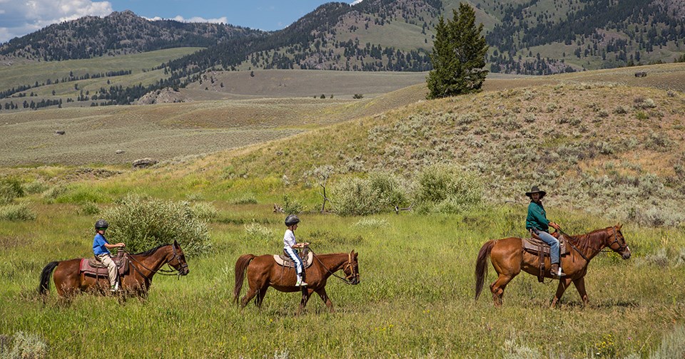 Three horseback riders Three horseback riders
