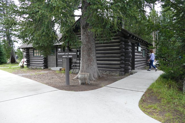 A small wooden cabin-like building sits in a forested area.