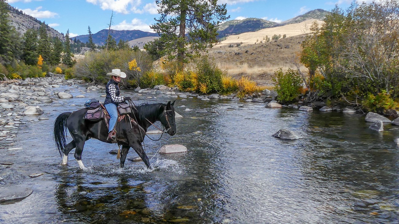 Horseback rider crosses a creek