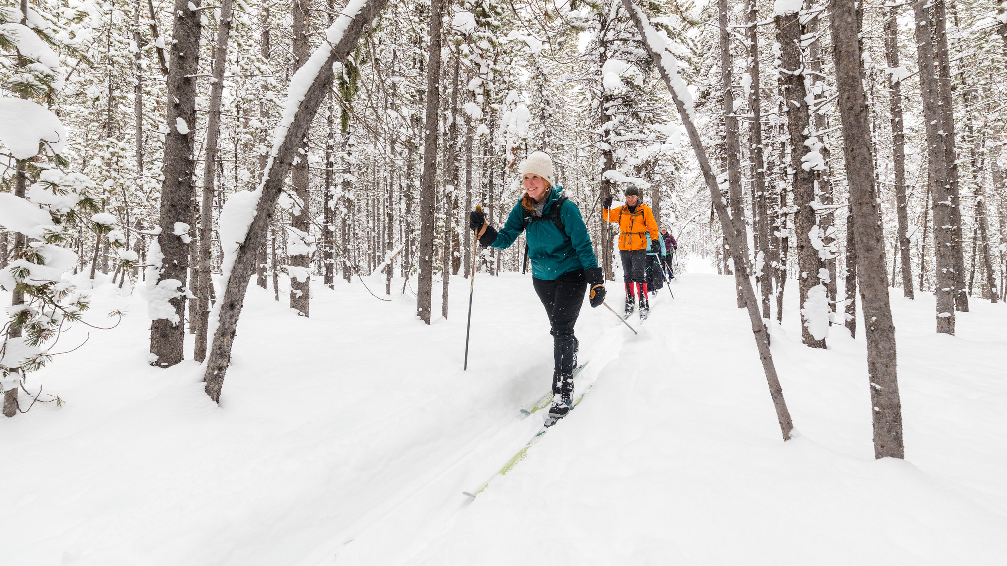 People on skis in a snowy forest
