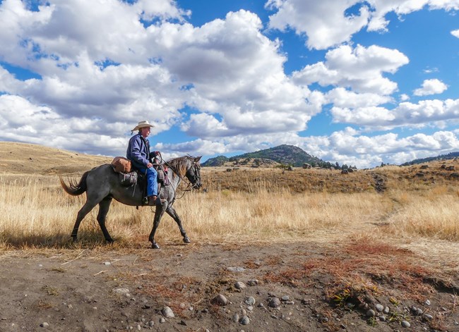 Horseback rider with blue sky and clouds