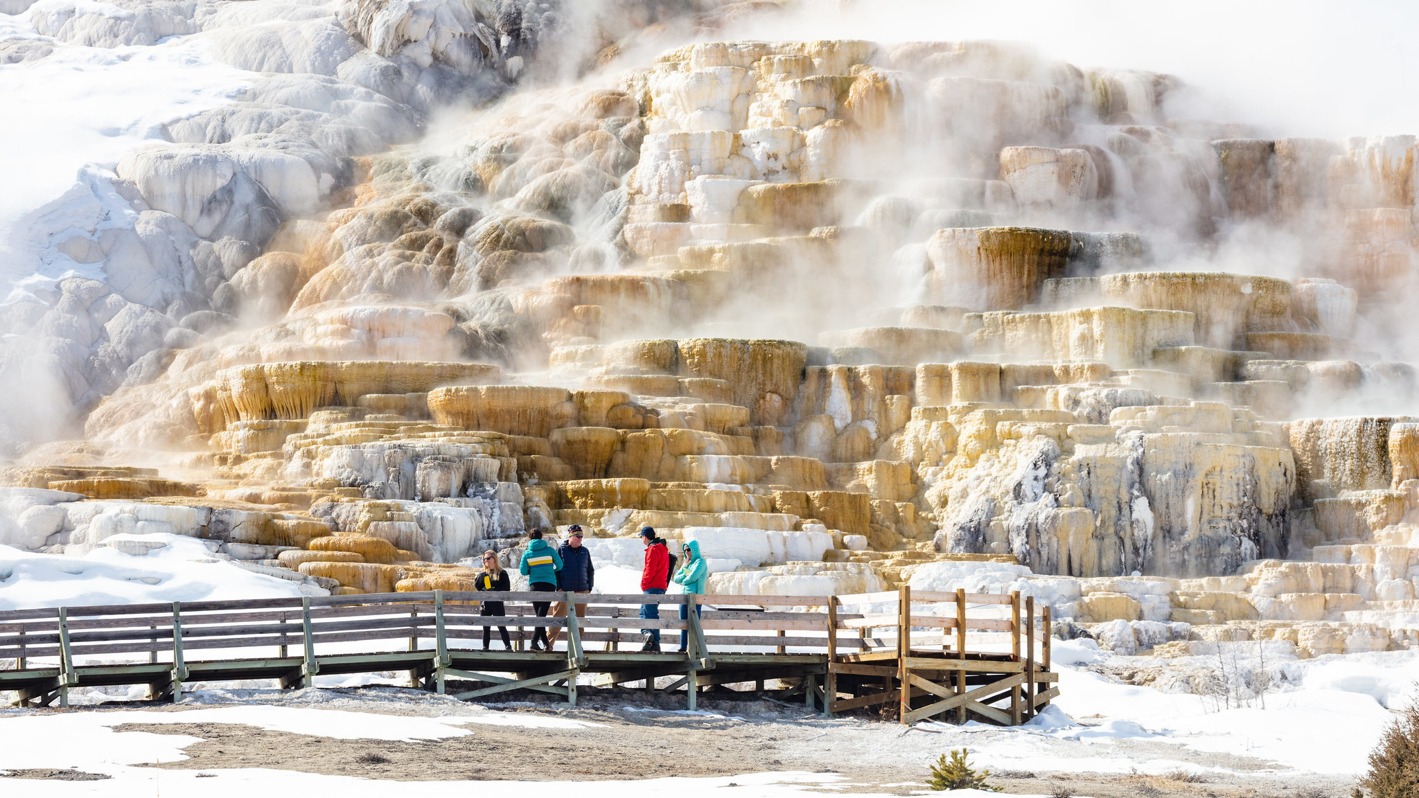 Geysers & Hot Springs - Yellowstone National Park (U.S. National Park  Service)