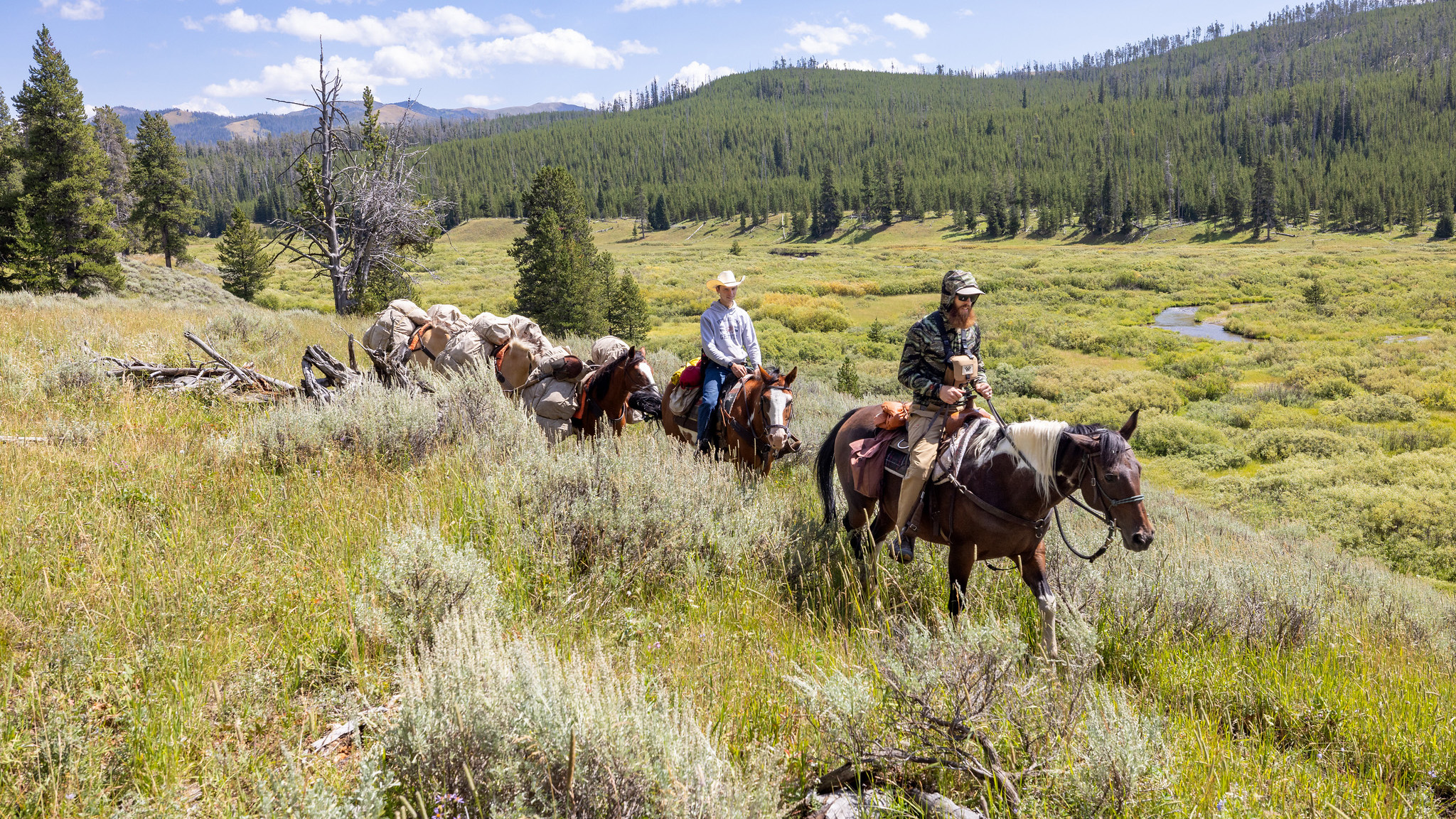 People riding horses on a trail through sagebrush