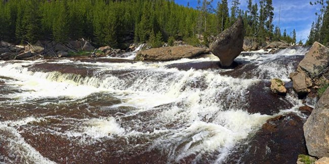 Water cascades over rocks surrounded by trees