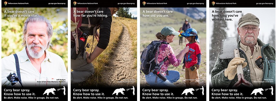 "A Bear Doesn't Care" campaign posters