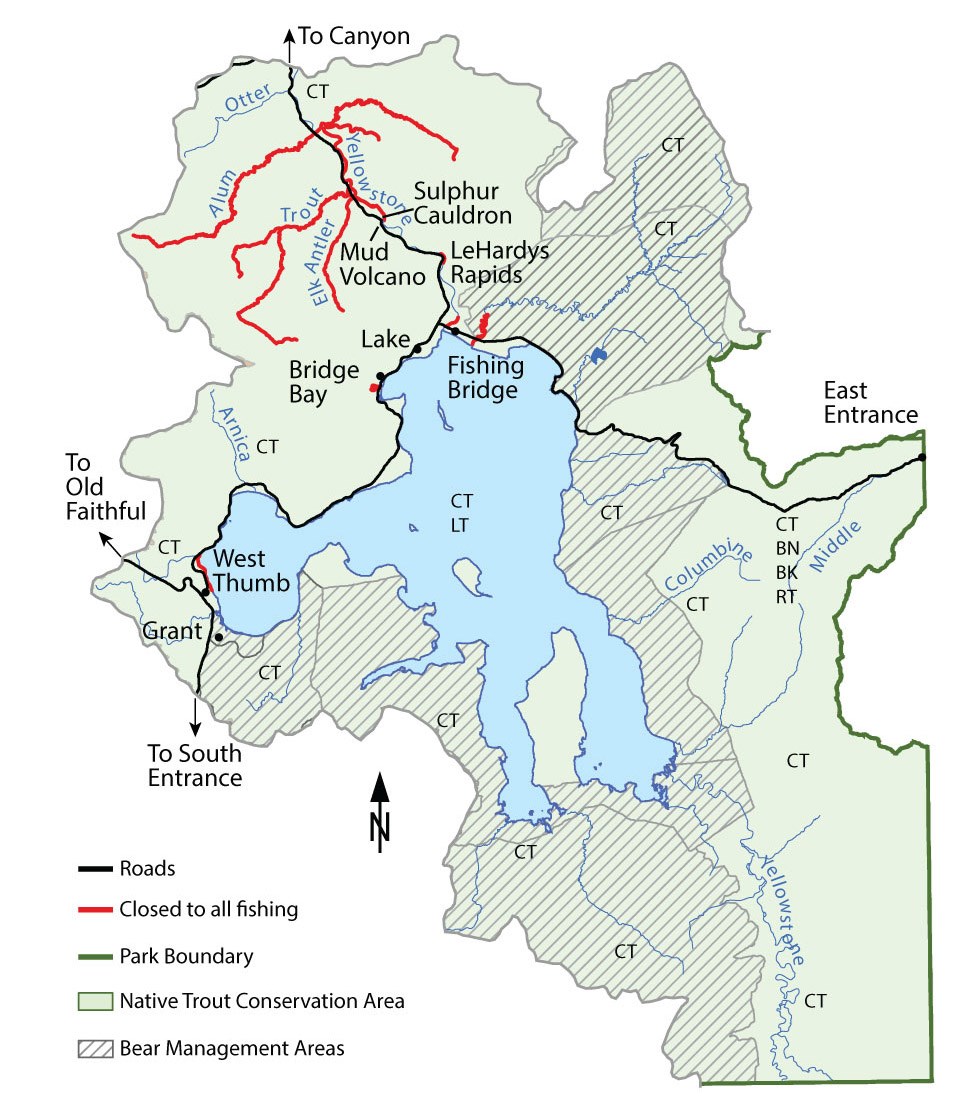 Fish in Yellowstone's Southeast - Yellowstone National Park (U.S. National  Park Service)