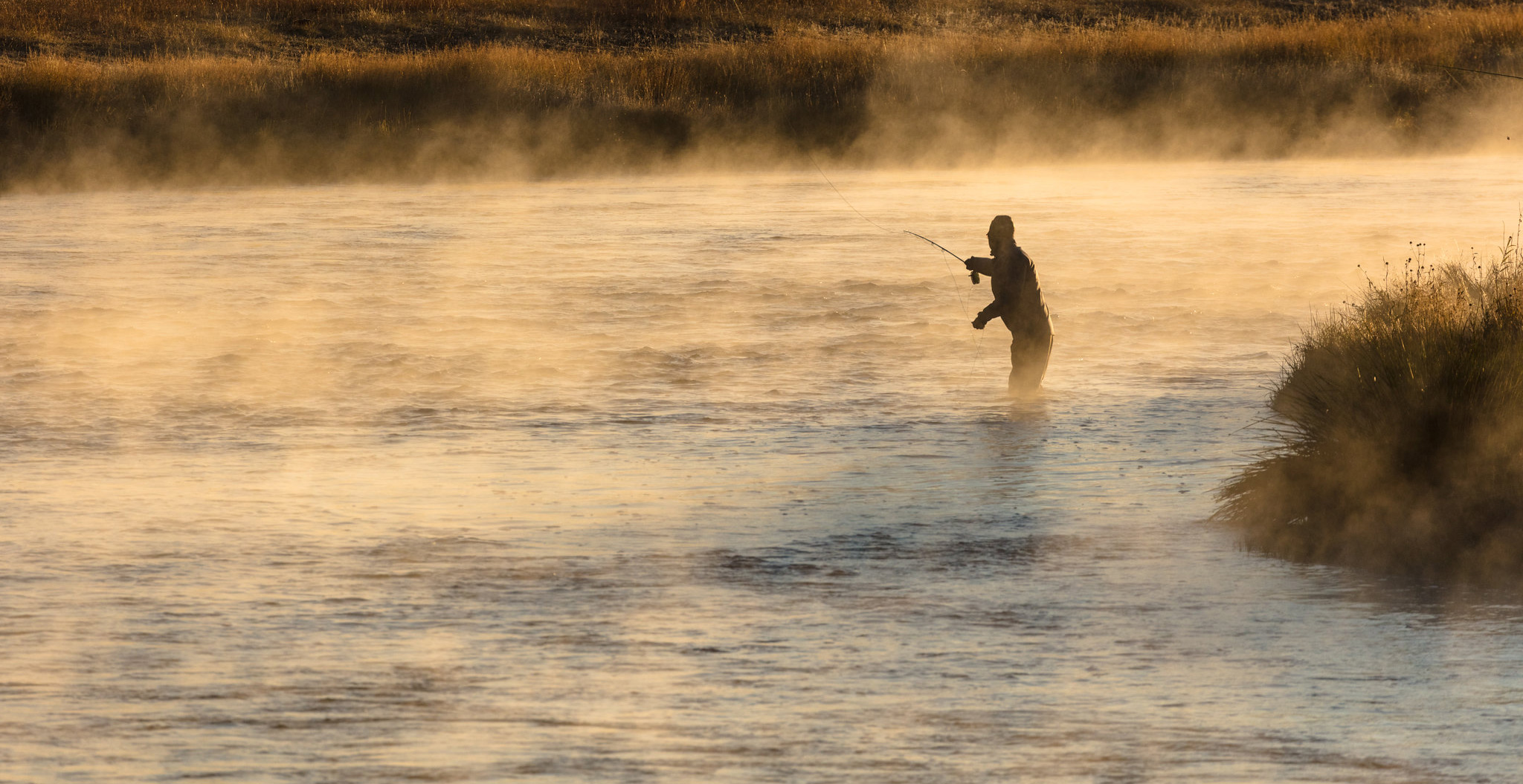 Catch a Fish - Yellowstone National Park (U.S. National Park Service)