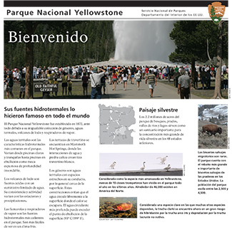 Cover of translation Cover of translation
