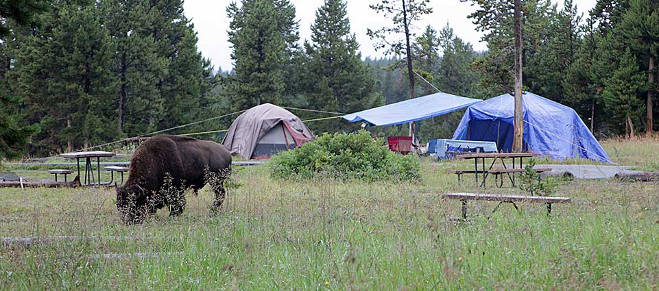 campgrounds near clark's trading post