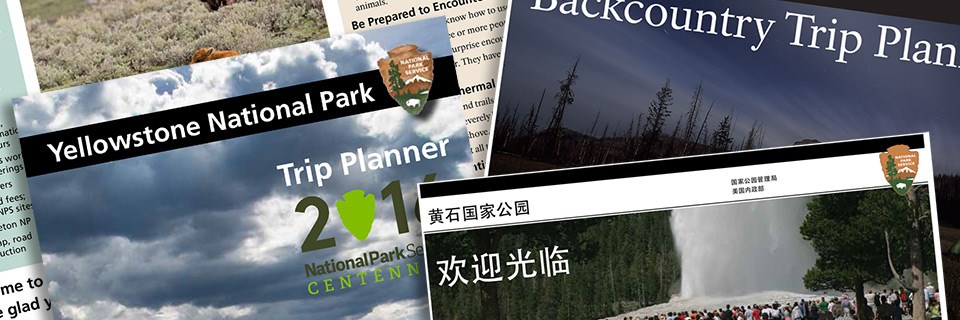 Photo of park brochures Photo of park brochures