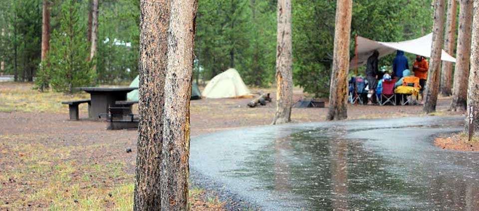 Madison Campground campsite
