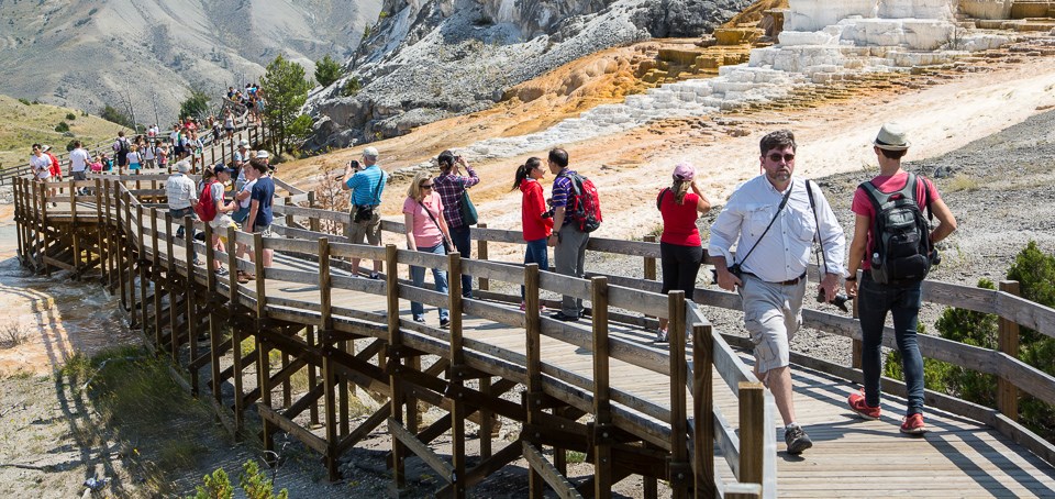 Photo of people on the boardwalks at Mammoth Hot Springs Photo of people on the boardwalks at Mammoth Hot Springs