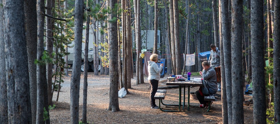 Morning in the Canyon Campground