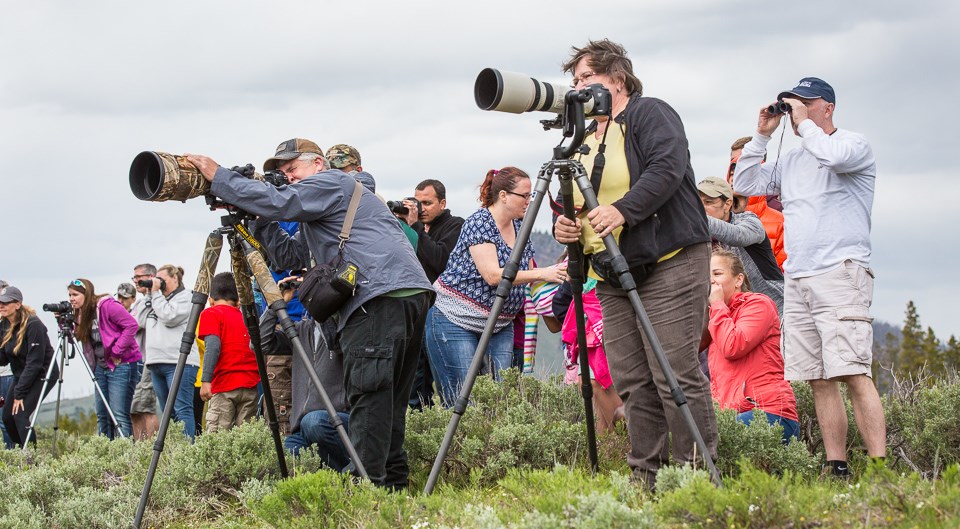 A group of people with long lenses on cameras taking photos