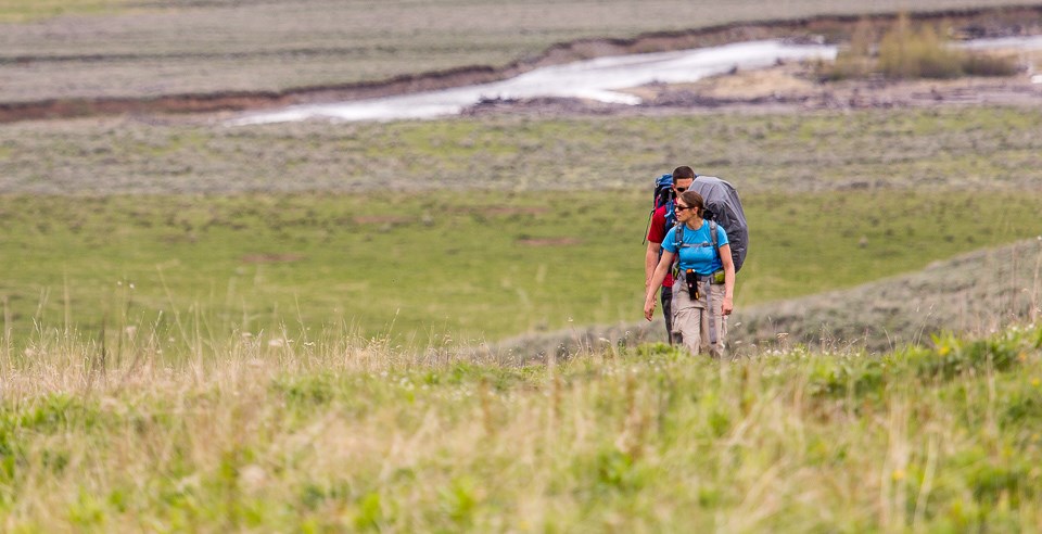 Backpackers hit the trail in Lamar Valley.