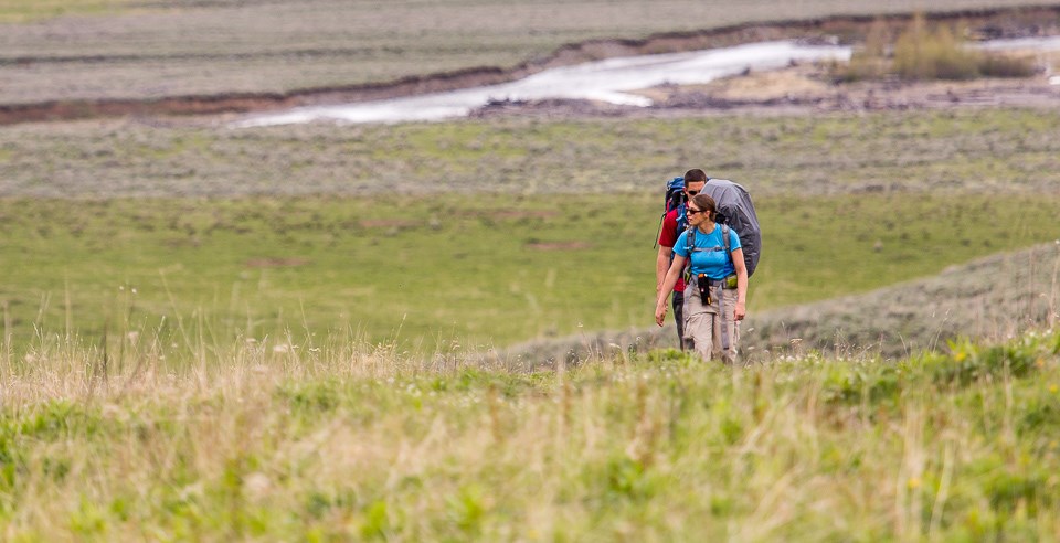 Backpackers hit the trail in Lamar Valley.
