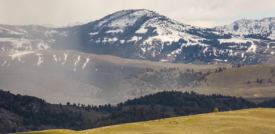 Yellowstone Climate Chart