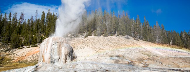 An eruption of steam and water out of the top of a large, trunk-like mound of white geyserite.