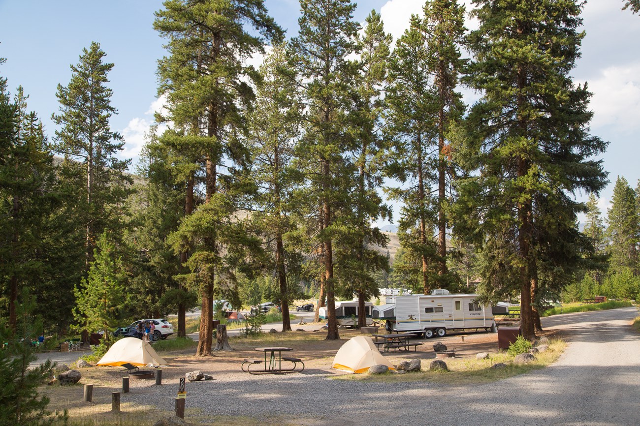 Campsites in the Tower Fall Campground.