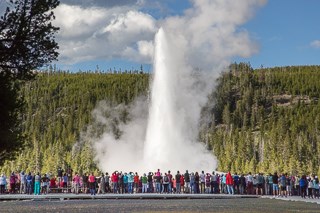 A large crowd watches a geyser eruption
