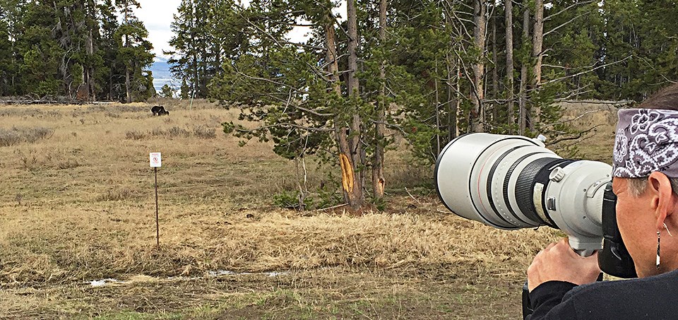 Man with long camera lens photographs a distant grizzly bear.