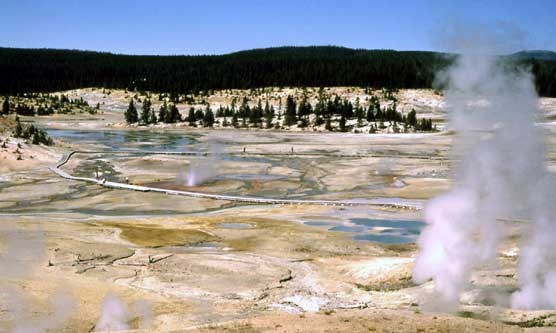 The view looking down on Porcelain Basin, one of the most spectacular areas in Norris Geyser Basin. One geyser is erupting and two others steaming.