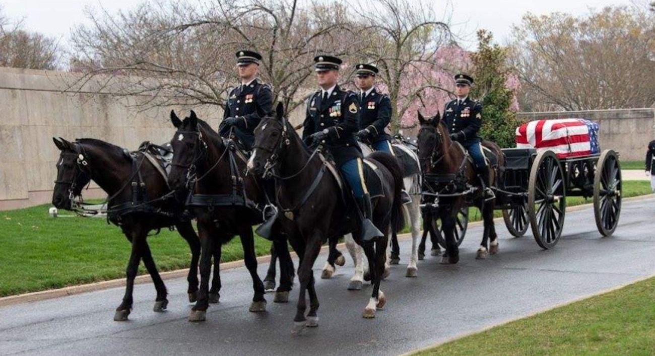 Horses