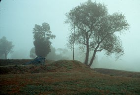 Cannon on British defenses
