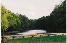 Wormley Pond