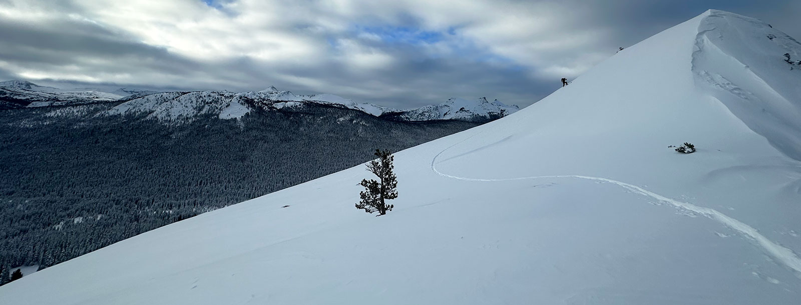 Lembert Dome on January 5, 2026.