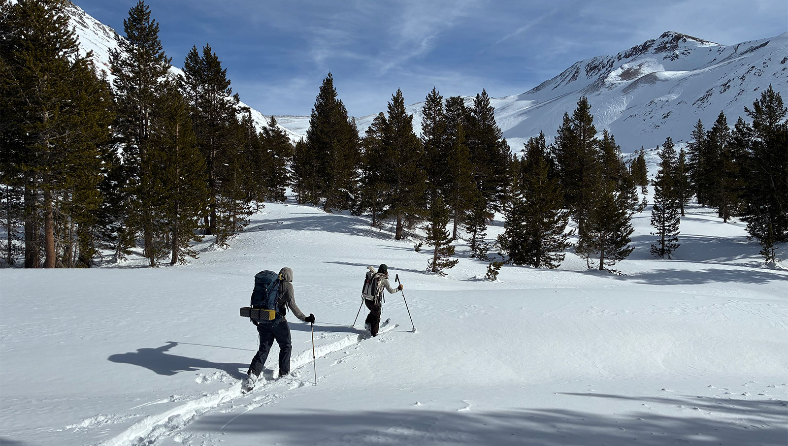 Mt. Gibbs and Dana Fork drainage on January 10, 2026.