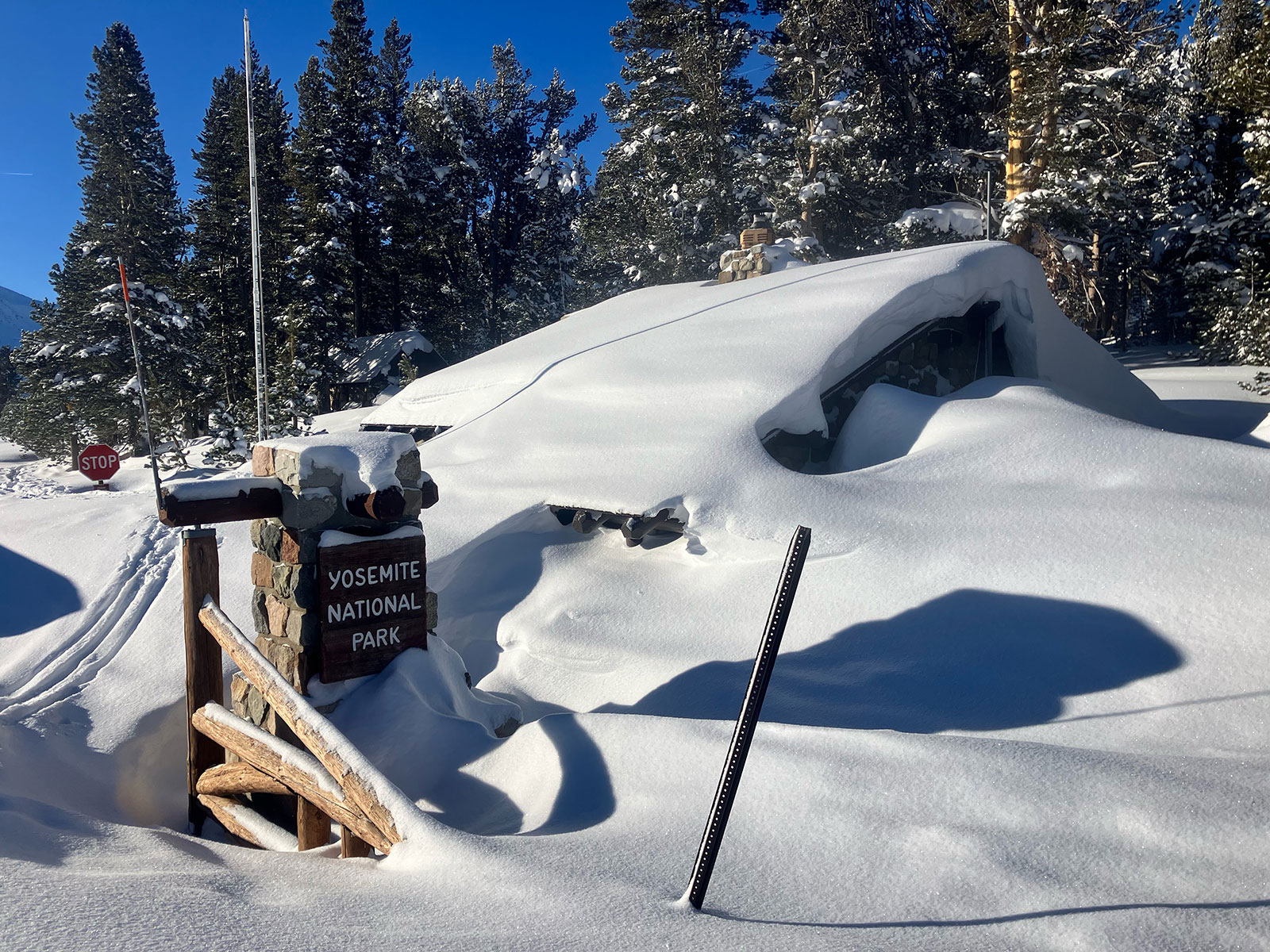 Tioga Pass on January 8, 2026.