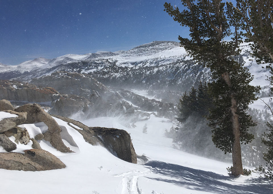 A windy day in the Sierra on March 16, 2022.