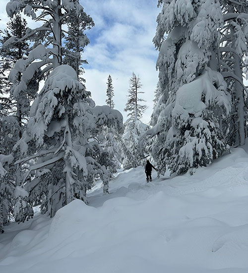 Avalanche resulting from Cornice drop Lembert Dome occurred on March 11, 2023.