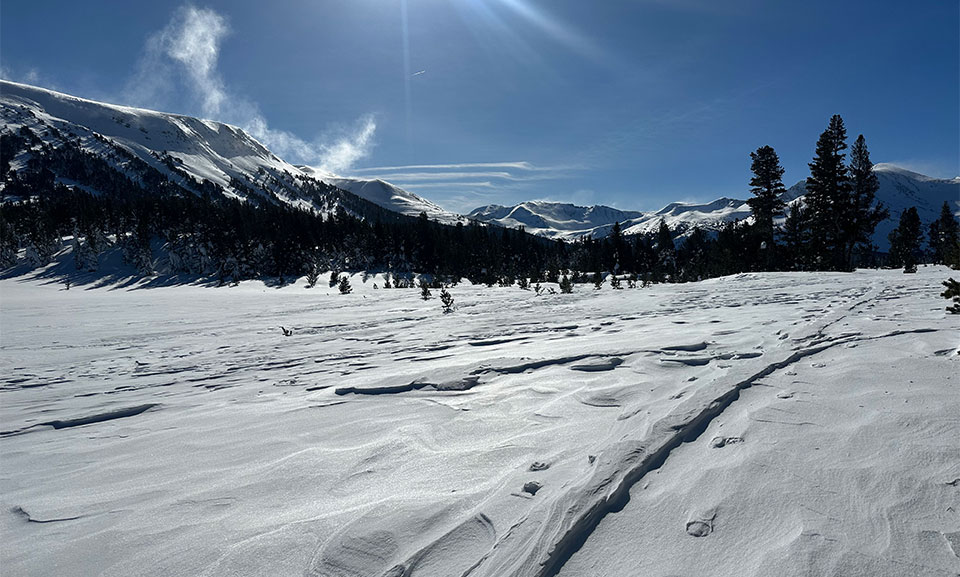 Blowing snow and inverted ski tracks, Dana Meadow, January 20, 2023. Blowing snow and inverted ski tracks, Dana Meadow, January 20, 2023.