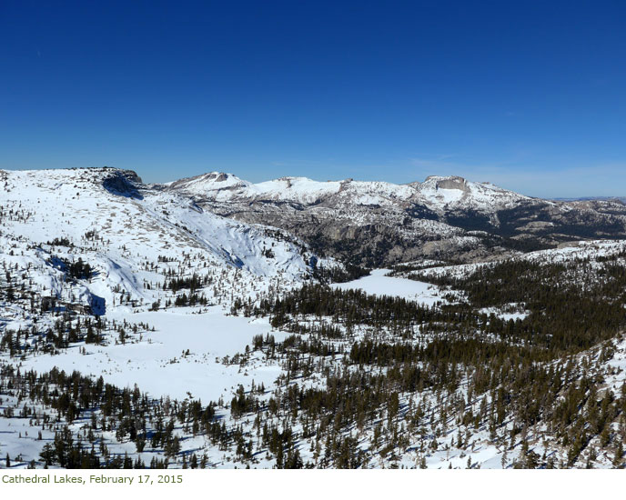 Snowy forest and peaks