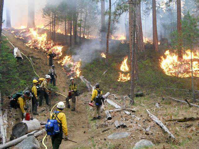 Firefighters ignited and monitoring a fire