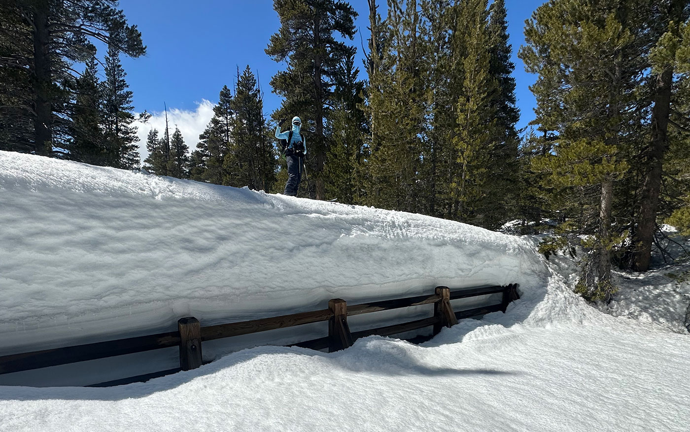 Dana Fork of the Tuolumne Bridge with skier on top of snow on bridge on April 13, 2023.