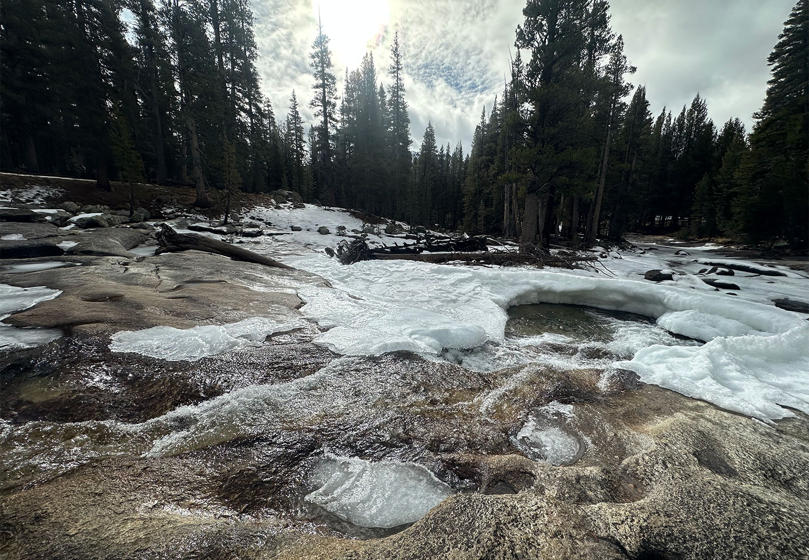 Dana Fork of the Tuolumne River on December 20, 2025.