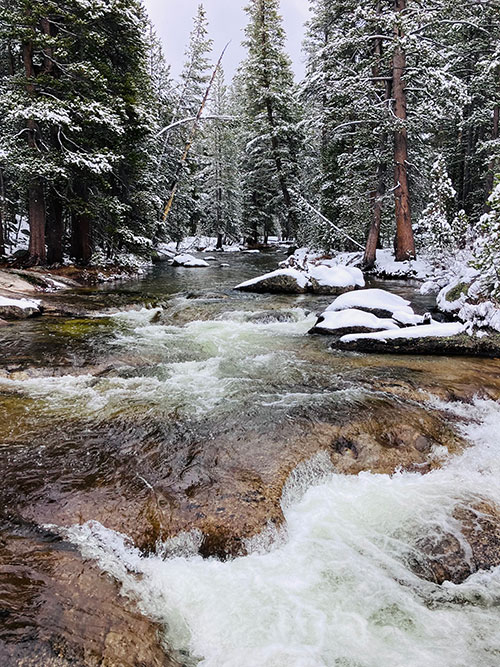 Dana Fork of the Tuolumne River on April 1, 2026.