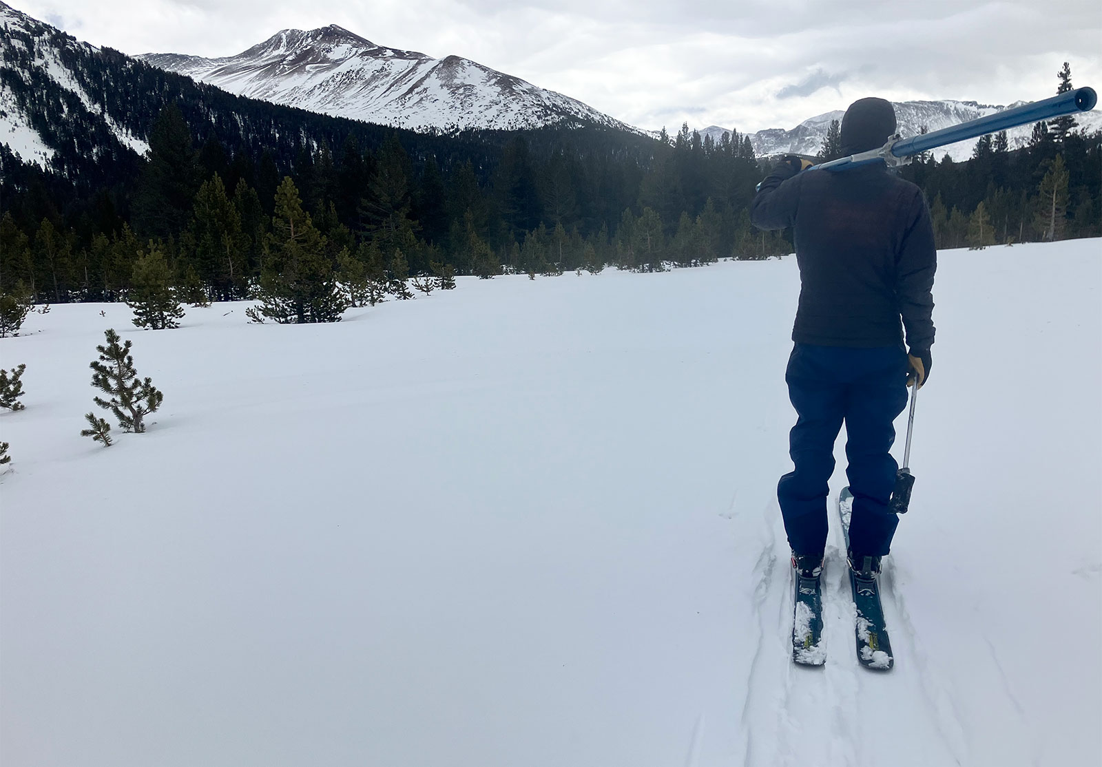 Dana Meadow snow survey on January 30, 2025. Dana Meadow snow survey on January 30, 2025.