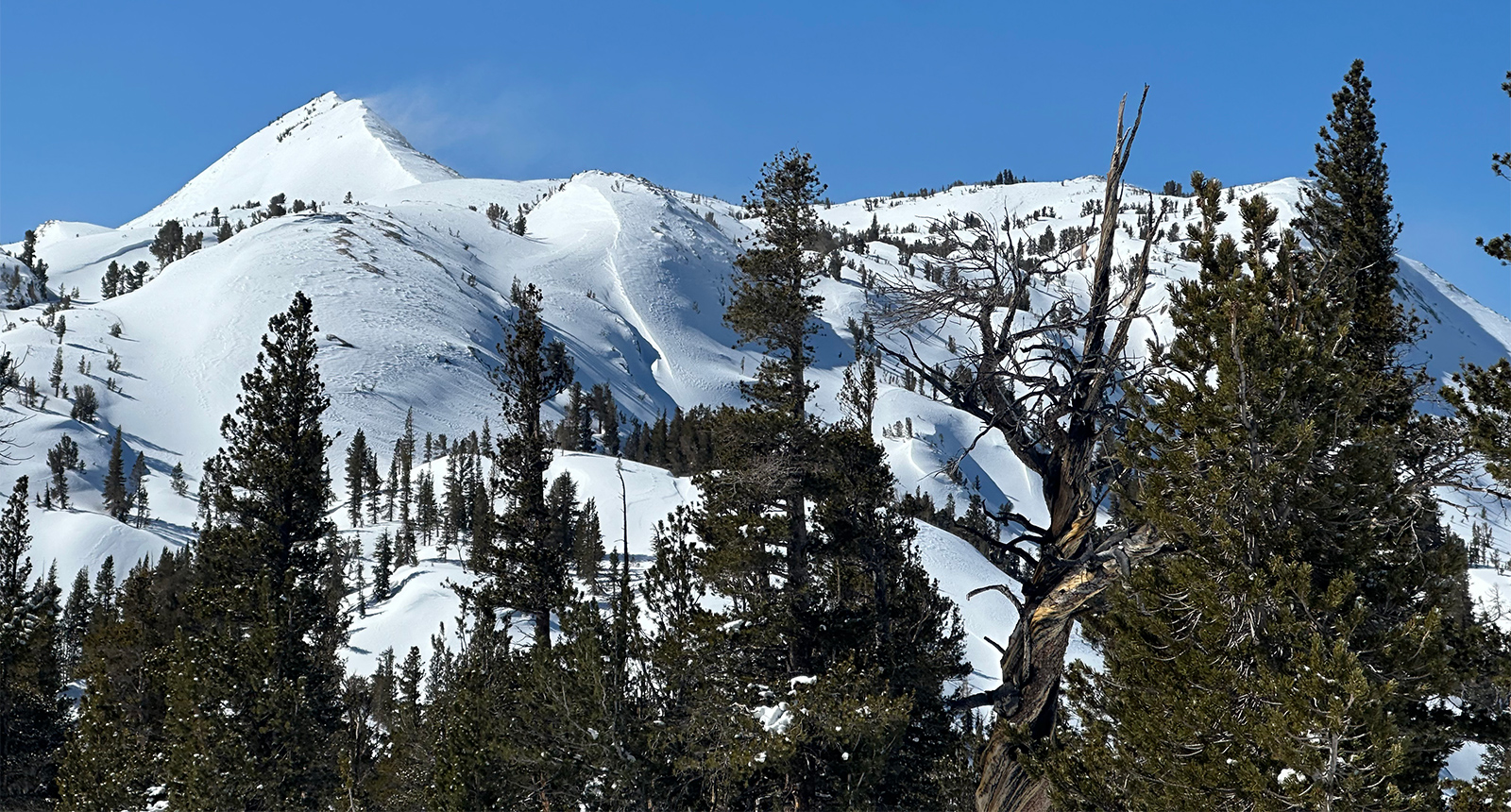 East winds on Johnson Peak on April 8,2024.