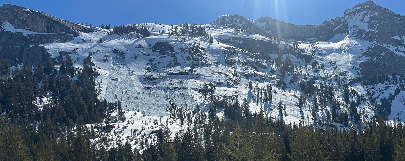 Glide avalanches on Tenaya Peak on February 28, 2026.